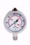Picture of Pressure Indication Gauge 600 Bar